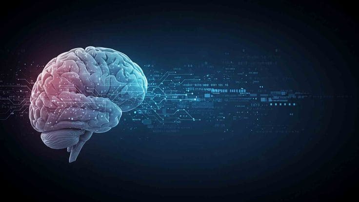 Brain and Mind Clinic - Mental Health Care Chhattisgarh
